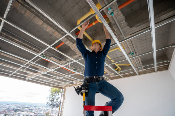 Best Emergency Plumbing Repair  in Rochester, IL